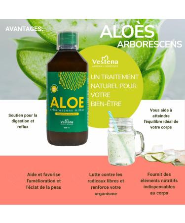  VESTENA Vestena - Aloe Arborescens with Agave 100% Pure Natural - Recipe Father Zago. Natural Detox Juice for Liver and Intestines Powerful Draining Slimming - 500ml - Made in Italy - Buy Online on GoSupps.com