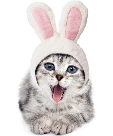 Easter Costume for Cats | Funny Adjustable Bunny Outfit for Cats & Puppies | Rabbit Ears for Easter Cosplay - Buy Online on GoSupps.com