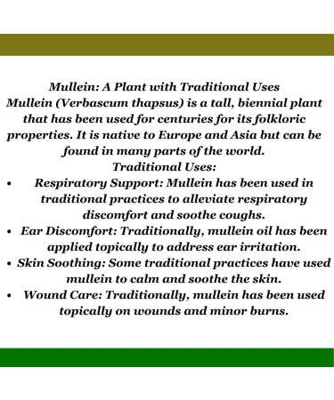 Wave Drops Mullein Leaf Tincture - Lung Cleanse - Mullein Leaf Liquid Extract - Respiratory Health Drops - Lung Health Herbal Supplement 2 Fl Oz - Buy Online on GoSupps.com