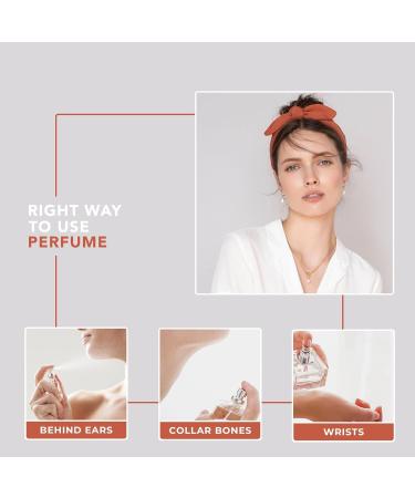 Carllton London Exo-tique Gift Set Of 4 Premium Perfume Liquid- 30Ml Each I Orange Cedar Honey And Rose Fragrance I Luxury Edp Perfume For Girls And Ladies | Flawless Gift Set For Women - Buy Online on GoSupps.com