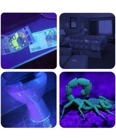 UV Light Torch Black Light 100 LED Ultraviolet Lamp Flashlight with UV Protection Glasses 395nm Led UV Flashlight Blacklight Torch Detector for Pet Urine Stains of Carpet/Floor Resin Camping Large - Buy Online on GoSupps.com