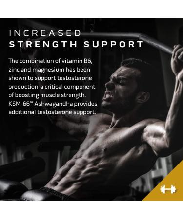 Muscletech Testosterone Booster for Men MuscleTech Test HD Elite Tribulus Terrestris for Men Increased Strength & Test Booster for Men Boron Supplement for Men 180 Capsules (Pack of 1) - Buy Online on GoSupps.com