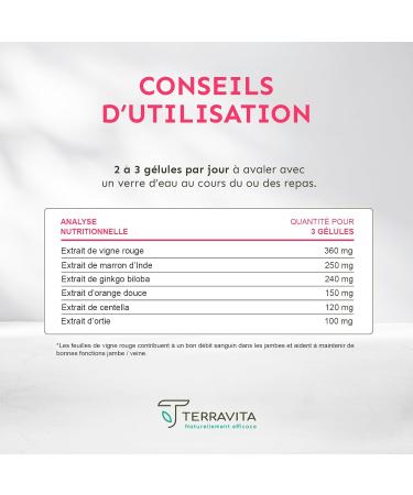 Light Leg Complex | 6 Highly Dosed Active | Red Vine - Horse Chestnut - Ginkgo Biloba - Nettle | Blood Circulation - Lymphatic Drainage | 90 Capsules | Made in France | Terravita - Buy Online on GoSupps.com