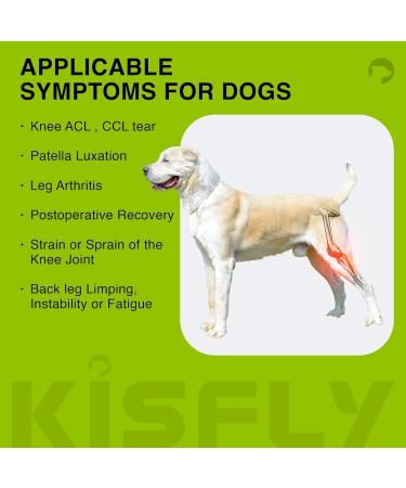 Dog Knee Brace for Torn ACL Hind Leg and Luxating Patella Dog Leg Brace with Metal Hinged Support for Better Support and Recovery Both Leg Hind Leg Luxating Patella Dysplasia Arthritis Joint Pain(Lar Large - Buy Online on GoSupps.com