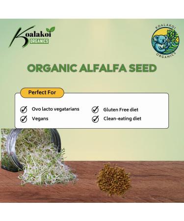 Koalakoi Organic Certified Alfalfa Seed (100g - 4.5kg) Easy to Sprout Super Nutritious Highly digestible Fibre Alfalfa | Premium Quality Non-GMO 100% Natural no Additives or Preservatives (100g) - Buy Online on GoSupps.com