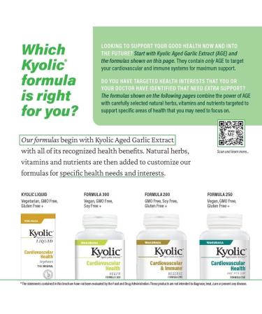 Kyolic Aged Garlic Extract Formula 300 Cardiovascular Health* Vegan 360 Capsules Capsules 360 Count (Pack of 1) - Buy Online on GoSupps.com