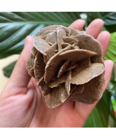 Natural Magic Natural Desert Rose Raw Stone Crystal Home Office Specimen Gift ZJGIDTEM (Size : 210-250g) - Buy Online on GoSupps.com