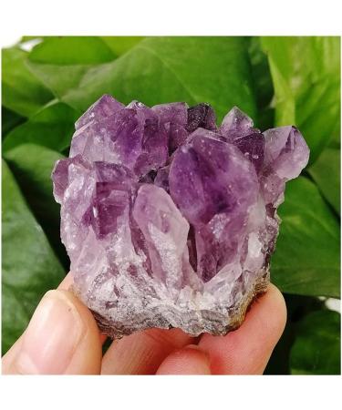80-100g 1-6PCS Natural Uruguay Amethyst Cluster Cave Pieces of Original Stone Specimens Placed (Size : 6pcs) - Buy Online on GoSupps.com