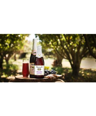 Martinelli's Sparkling Red Grape Juice 8.4 oz. - Pack of 12 Bottles | Non-Alcoholic Beverage - Buy Online on GoSupps.com