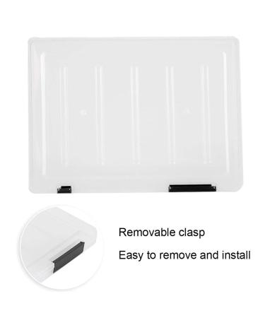 Buy Large Capacity Transparent Nail Tips Display Box - Perfect for Nail Art Showcase | False Nail Tips Organizer (White) - Buy Online on GoSupps.com