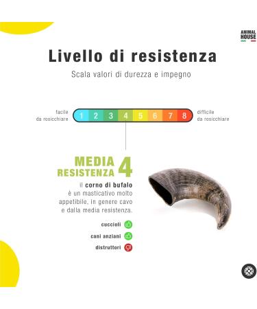 Animal House - Buffalo Horns for Dogs - Natural - Strengthens Oral Hygiene - Durable and Long Lasting - Available in All Sizes - Cruelty Free (1.5 L) - Buy Online on GoSupps.com