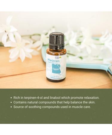 Marjoram Essential Oil - Direct from Al Sheikh for Export Egypt - Steam Distilled - Aceite de Mejorana for Aromatherapy, Massage, Diffuser, DIY Candle and Soap Making - 2lbs Marjoram (Al Sheikh) 32 Fl Oz (Pack of 1) - Buy Online on GoSupps.com