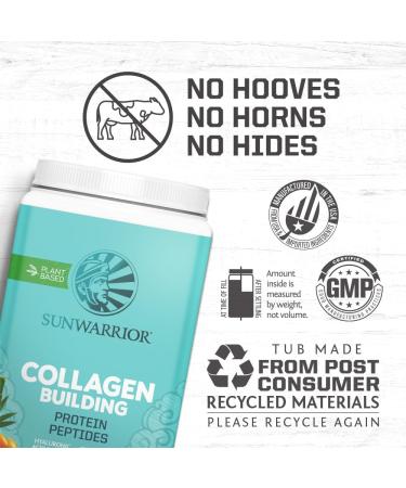 Chocolate & Vanilla Vegan Collagen Protein Powder Set | Bundle & Save | Plant Based Collagen Booster | Non-GMO No Added Sugar Soy or Dairy (40 Servings Chocolate 40 Servings Vanilla) - Buy Online on GoSupps.com
