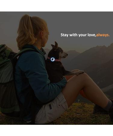 2022 Airtag Cat Necklace Holder - Small Air Day Cat Neckband for Apple Airtag GPS Tracker | Black Pink Purple & Lumiblau Options - Buy Online on GoSupps.com