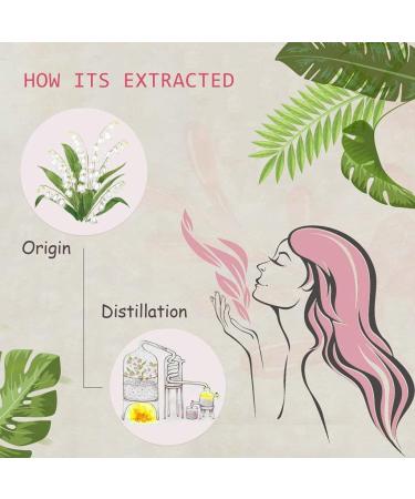 2-Pack Lily of Valley Essential Oil - 100% Pure Organic Diffuser Oil for Spa Massage Yoga & Perfume | 2x10ML - Buy Online on GoSupps.com