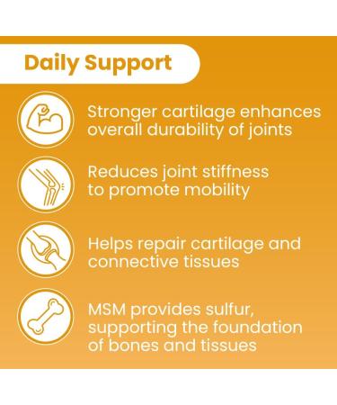 Sanar Naturals Glucosamine Chondroitin MSM Turmeric - Joint Support Supplement for Knees, Back, Hands, and Body - Non-GMO, Gluten Free, 120 Capsules - Buy Online on GoSupps.com