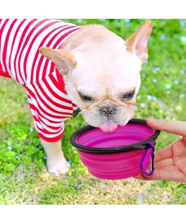 Slson 2 Pack Foldable Travel Dog Bowl - Safe & Portable Pet Bowl with Carabiners | Perfect for Cats & Dogs - 350ml - Purple & Green - Buy Online on GoSupps.com