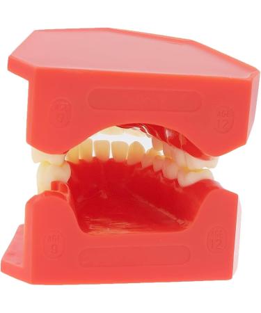 Lmeil Silicone Tooth Development Model for Children | Milk Teeth & Deformality Education Tool - Buy Online on GoSupps.com