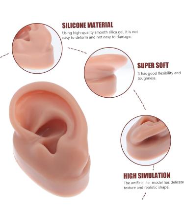 Silicone Human Ear Model for Massage, Piercing, and Simulation | Ear Display Body Kit | Healeved 6.5x3.5cm - Buy Online on GoSupps.com