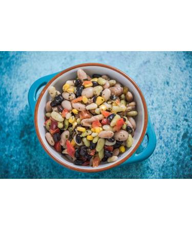 Organic Cranberry Beans  3 Pounds  Non-GMO  Dried Borlotti Beans (Romano Beans)  Sproutable  Vegan  Kosher  Bulk. High in Folate  Fiber  Protein. Product of the USA. Perfect for Stews  Soup  Salads. 3 Pound (Pack of 1) - Buy Online on GoSupps.com