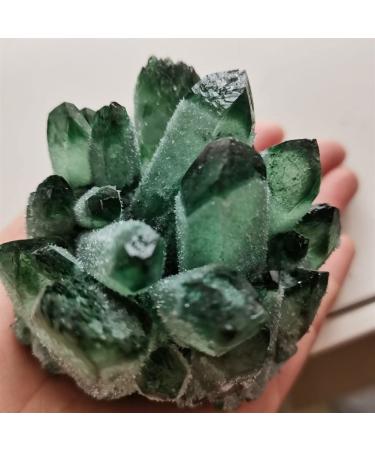 Green Ghost Phantom Quartz Crystal Cluster Rock Stones Crystals Specimen Home Decor Gift NaturalCrystal QINTINYIN Home Goods (Size : 400-500 g)