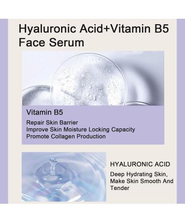 Hyaluronic Acid 2% + B5 30ML - Hyaluronic Acid Serum for Face- Dark Spot Remover for Face - Skincare Serum for Face to Plump and Smooth Skin-Moisturizer Face Serum for All Skin Types-Skin Care - Buy Online on GoSupps.com