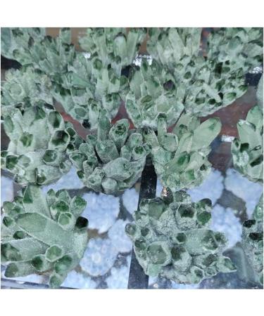 for 300-400g Natural Green Ghost Quartz Crystal Cluster Crystals raw Gem Specimen for Home&Office Decoration fengshui - Buy Online on GoSupps.com