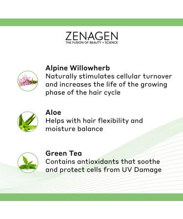 Zenagen Evolve Professional Accelerating Shampoo Treatment 6 fl oz - Hair Growth Formula - Buy Online on GoSupps.com