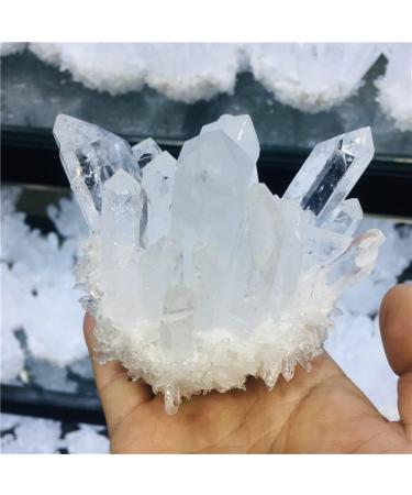Natural Clear Quartz Crystal Cluster Minerals for Reiki Stone Home Furnishing Decoration Suitable for Furniture Decoration Full of Texture (Size : 700-800g) - Buy Online on GoSupps.com