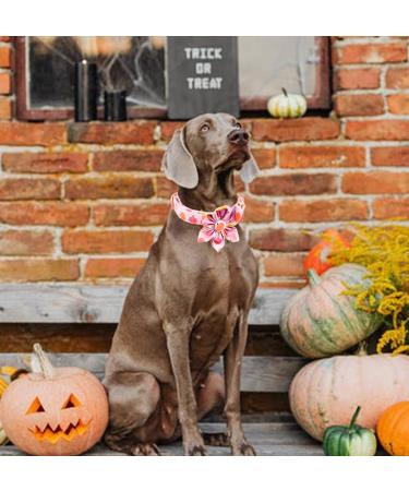 Adjustable Pink Pumpkin Dog Collar with Removable Flower | Halloween Pet Accessory - Buy Online on GoSupps.com