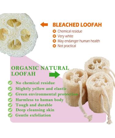 Natural Exfoliating Loofah Sponge 5 Pack - Eco-Friendly Unbleached Shower Luffa Bath Body Scrubbers for Men and Women - Remove Dead Skin - Buy Online on GoSupps.com