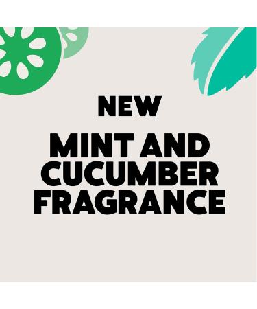 Ecover Bathroom Cleaner Mint & Cucumber 500ml (Pack of 2) 500 ml (Pack of 2) - Buy Online on GoSupps.com