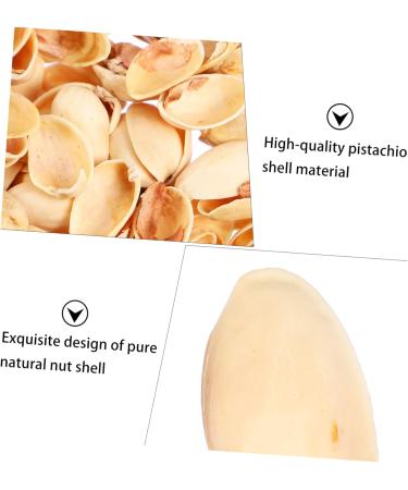 NUOBESTY 1 Pistachio Shell Decorative Painting Diy Materials Kids Crafts Material Child Supplies Artificial As Shown 2X1.2CM - Buy Online on GoSupps.com