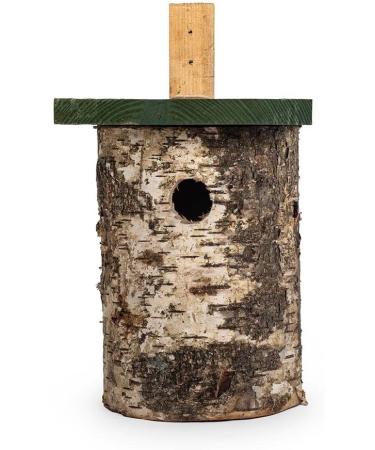 Natural Birch Log Nest Box 32mm Hole - popular with Great Tits Pied Flycatchers Tree Sparrows and House Sparrows - Buy Online on GoSupps.com