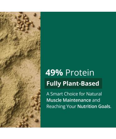 Intenson Prot ine de Chanvre en Poudre 500 g Riche en Prot ines Soutient le Maintien et la R g n ration Musculaire V gan Compatible Keto Sans Gluten Sans Additifs - Buy Online on GoSupps.com