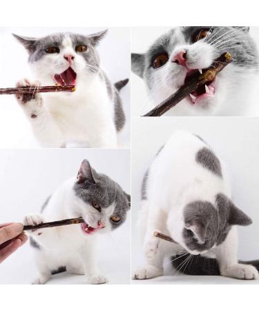 onebarleycorn Cat Catnip Toys for Cats Cat nip Toy Sticks Natural Matatabi Kitten Chews Toy Dental Treats Teething Stick for Cats Pack of 20 pcs 20 count (Pack of 1) - Buy Online on GoSupps.com