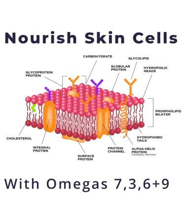 SeabuckWonders Organic Sea Buckthorn Body Lotion | Nourishing 6 FL OZ Moisturizer - Buy Online on GoSupps.com