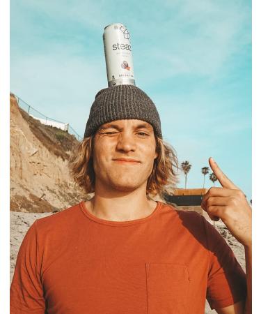 Steaz Organic Zero Calorie Iced Green Tea - Antioxidant Goji Blackberry (Pack of 12) - 16oz - Buy Online on GoSupps.com