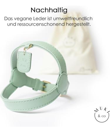 Muki & Co Adjustable Double Dog Dishes - Safe & Comfortable for Extra Small Small & Medium Dogs - Mint Green XS (44-50 cm) - Buy Online on GoSupps.com