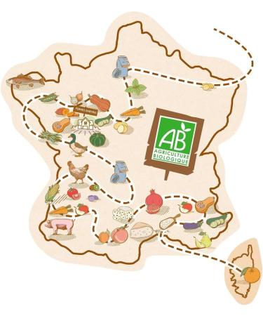 BABYBIO SEMOLINA PUDDING COCOA DESSERTS PACK OF 2 X 100G - Buy Online on GoSupps.com