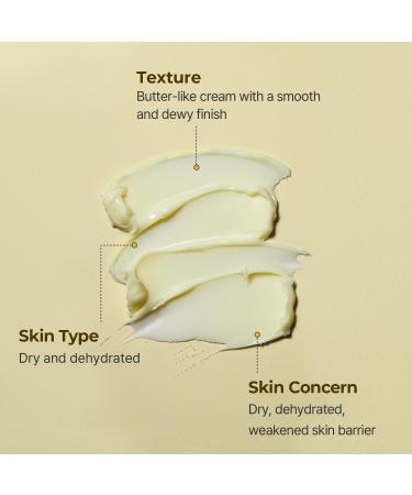 TORRIDEN SOLID-IN Ceramide Cream 2.4 fl oz | Vegan Fragrance-Free Moisturizer for Healthy Skin Barrier | Nourishing Korean Skin Care | Cruelty-Free & Alcohol-Free - Buy Online on GoSupps.com