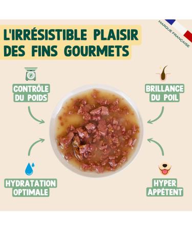 Franklin Fillet in Sauce for Cats Healthy Food with 85% Chicken and Salmon Improves Coat Shine Suitable for - Buy Online on GoSupps.com