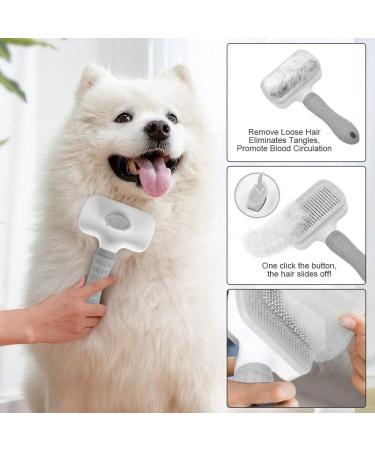 Avando Cat Dog Brush for shedding Pet Grooming Brush for Cats Dogs Massage Shedding Brush for Short or Long Hair Self Cleaning Slicker Brush Easy to Removes Loose Undercoat Tangled Hair (grey) Black - Buy Online on GoSupps.com
