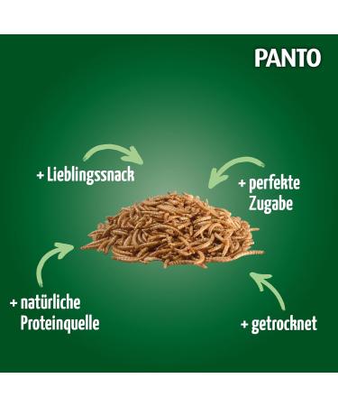 Premium Panto Mealworms 900g - High Protein Wild Bird Feed Ideal for Birds Rodents Hedgehogs & Poultry - Buy Online on GoSupps.com