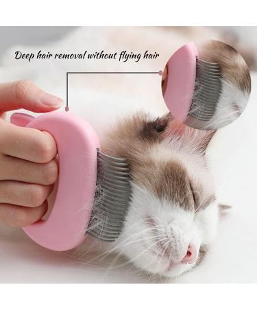 Xixiran Cat Brush - 2PC Massage Comb Set for Pet Fur Care & Undercoat Removal | Relaxing Cat Grooming Tools - Buy Online on GoSupps.com