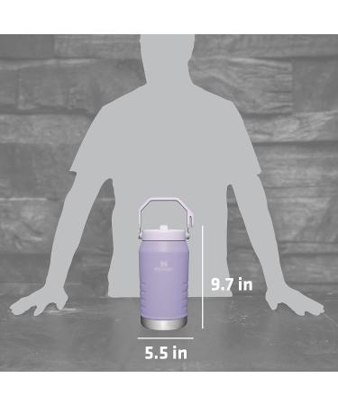 Stanley IceFlow 64oz Stainless Steel Water Jug - Vacuum Insulated, Leakproof Flip Cap, Lavender - Ideal for Home, Office - Reusable Tumbler with Straw - Buy Online on GoSupps.com