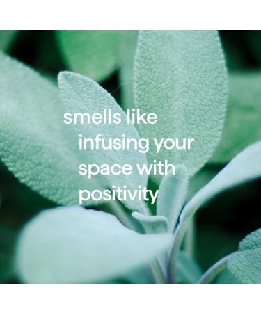 Method Premium Gel Hand Soap Reusable Aluminum Bottle Sage + Wild Mint 12 oz (Pack of 1) - Buy Online on GoSupps.com