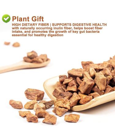 Plantgift Chicory Root Tea 180g - Caffeine-Free Natural Coffee Replacement Keto & Kosher | Chicor e Coffee Alternative - Buy Online on GoSupps.com