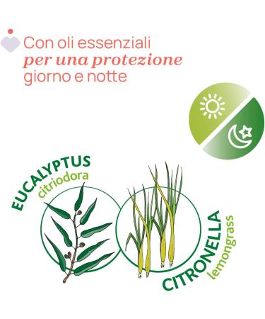 CHICCO NaturalZ Rouleau de protection 60 ml protection naturelle contre les insectes avec citronnelle et eucalyptus protection jour et nuit - Buy Online on GoSupps.com