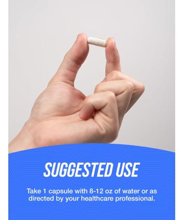 BulkSupplements.com Melatonin 5 mg Capsules - Melatonin for Adults Sleep Supplement - 5mg Melatonin per Serving 1 Capsule per Serving 240 Capsules (Pack of 1) - Buy Online on GoSupps.com